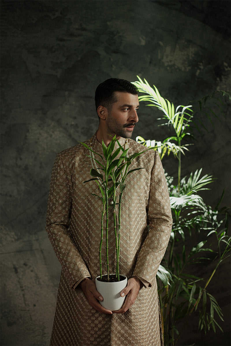 'Veer' Sherwani