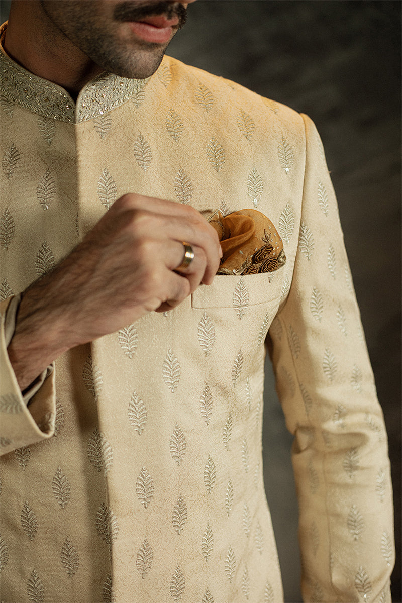 'Shahrukh' Sherwani