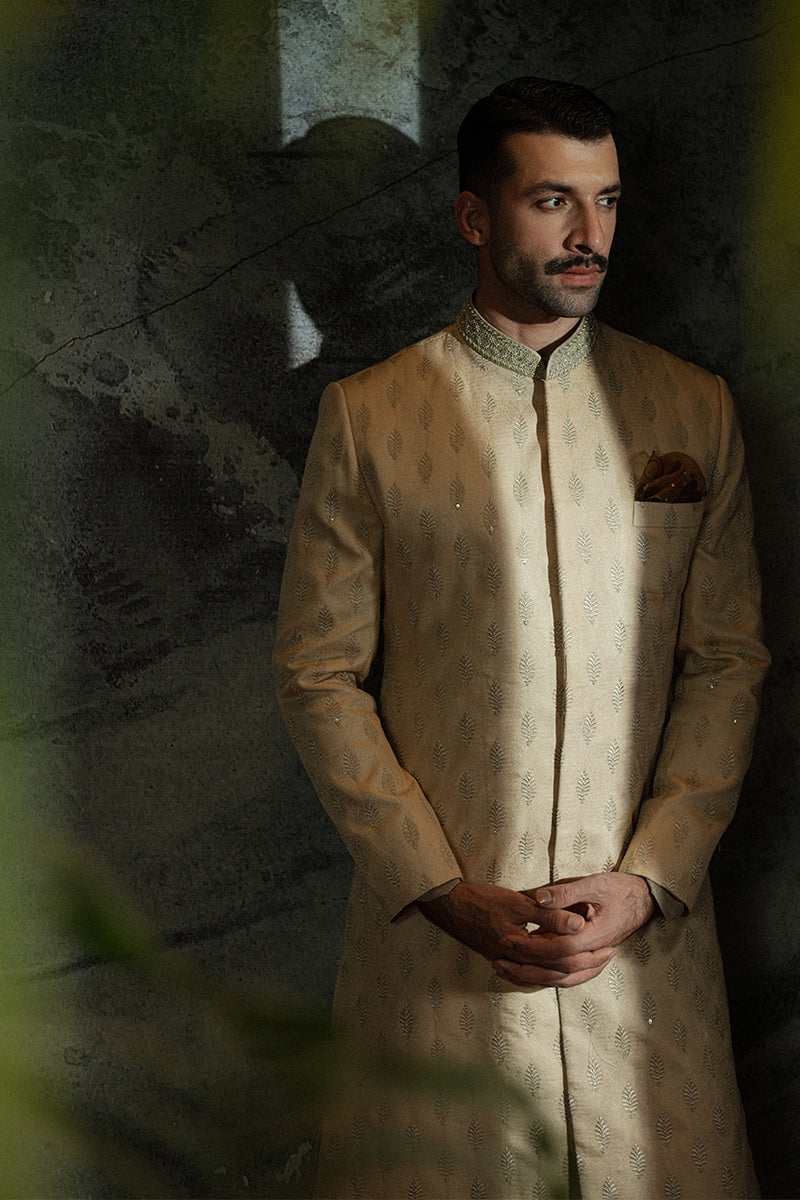 'Shahrukh' Sherwani