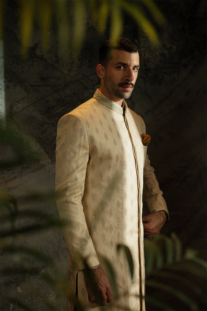 'Shahrukh' Sherwani