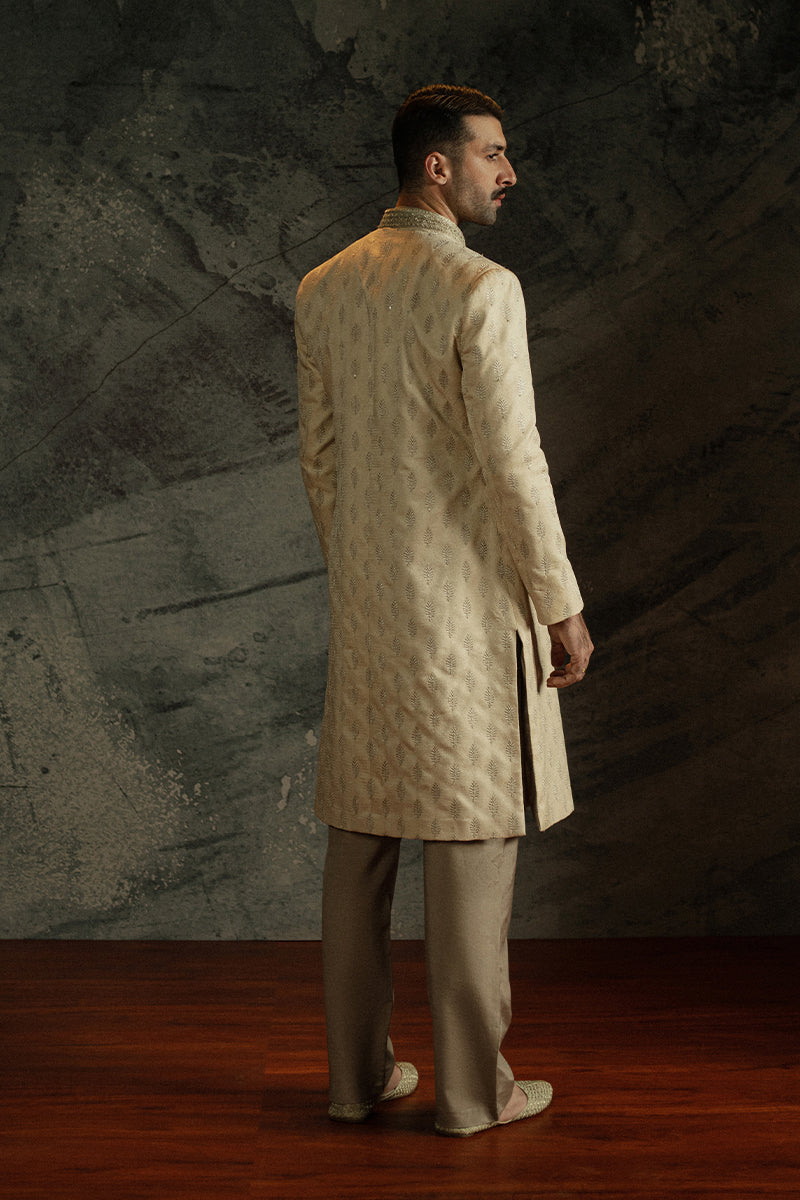 'Shahrukh' Sherwani